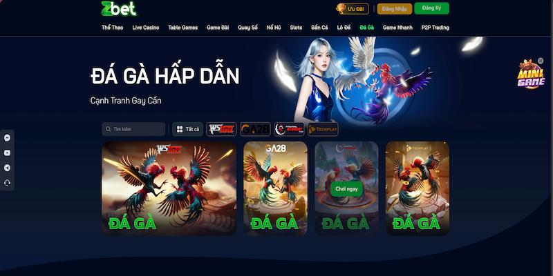 Đá gà online hấp dẫn